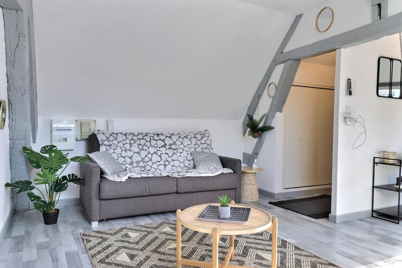 Downtown Apartment - Quiet And Cozy - Mon Groom Troyes Esterno foto